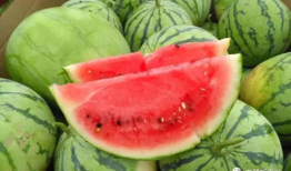 66热门吃瓜最新爆料今天,揭秘今日最新爆料，娱乐圈风云再起！